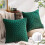Phantoscope 18" x 18" Modern Dark Green Chevron Polyester Throw Pillow , ( 2 Count) 1