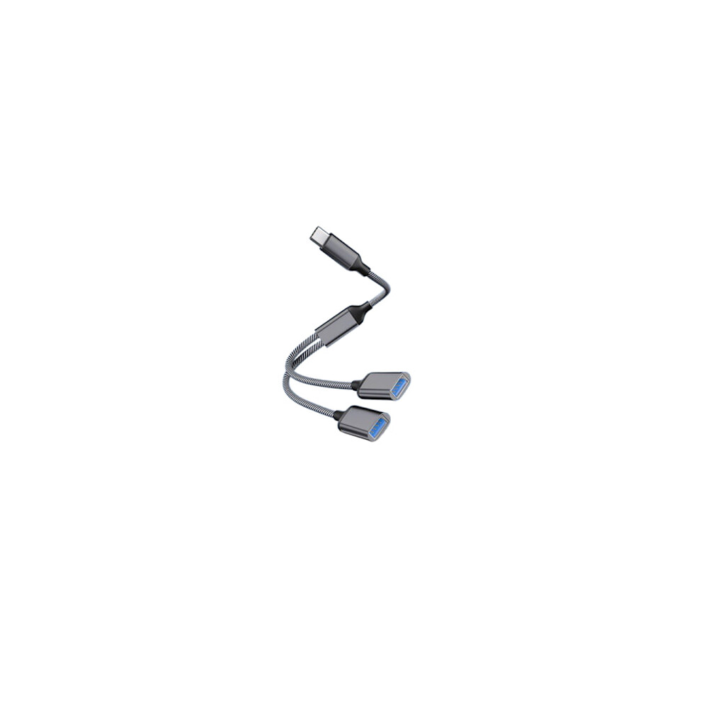Type-C To Dual Usb 2.0 Adapter Grey 9164030938984