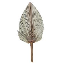 Home Office Dried Leaf, Boho Decor With Pink White Dried Palm Leaves, Natural Wedding Decor Adds A Rustic Touch To Your Space, Tropical Palm Decor