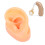 Human Ear Model Simulation Display Soft Silicone Teaching Tools Science And Education Model Real Skin Feel Realistic Texture Teaching Demonstration P 5