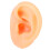 Human Ear Model Simulation Display Soft Silicone Teaching Tools Science And Education Model Real Skin Feel Realistic Texture Teaching Demonstration P 1