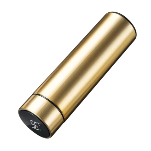 Φορητός ηλεκτρικός βραστήρας ταξιδιού 500ML, 316 από ανοξείδωτο ατσάλι με έλεγχο