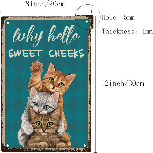 Μεταλλική πινακίδα 3Cat, Why Hello Sweet Cheeks, Αστεία vintage αφίσα, ρετρό διακόσμηση τοίχου 1