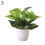Bonsai artificiale Windfall da 8,66 pollici in vaso di plastica 3