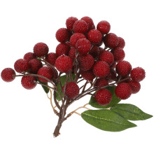 Craobhacha Torthaí Saorga Eease Cosúil le Réaltacht Sú craobh Bayberry Insamhalta