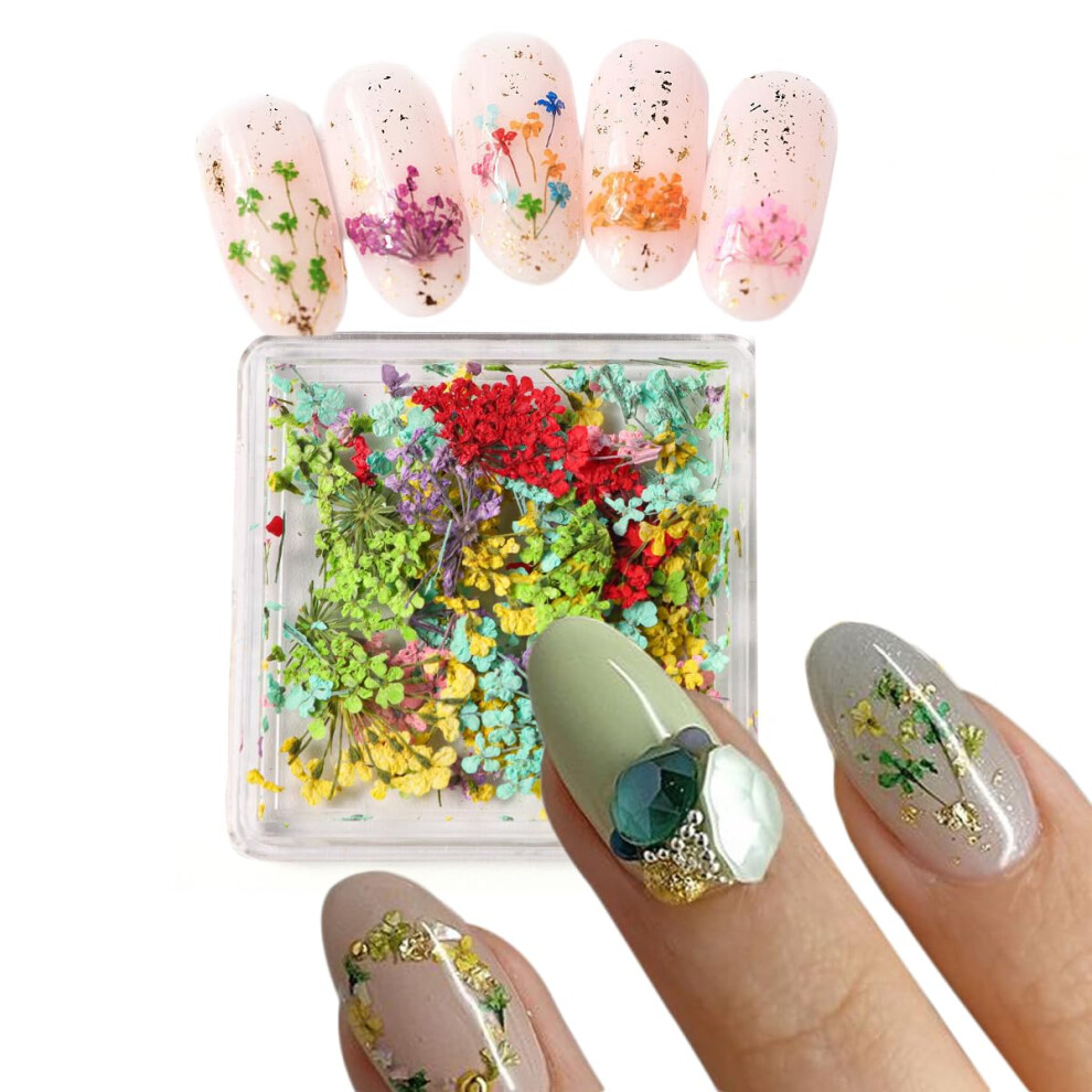 1 Box 3D Real Dried Flower Nail Art Decorations with Clear Box for Manicure Tips and Decals