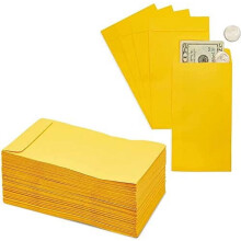 Budgeting Envelopes for Cash, Coins, Money (3.5 x 6.5 Inches, 100 Pack)