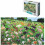 1000-teiliges Puzzle, 101 Welpen 1