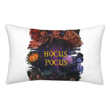 Housse de coussin moelleuse double face Hocus Pocus en peluche douce pour canapé, salon et décoration intérieure.