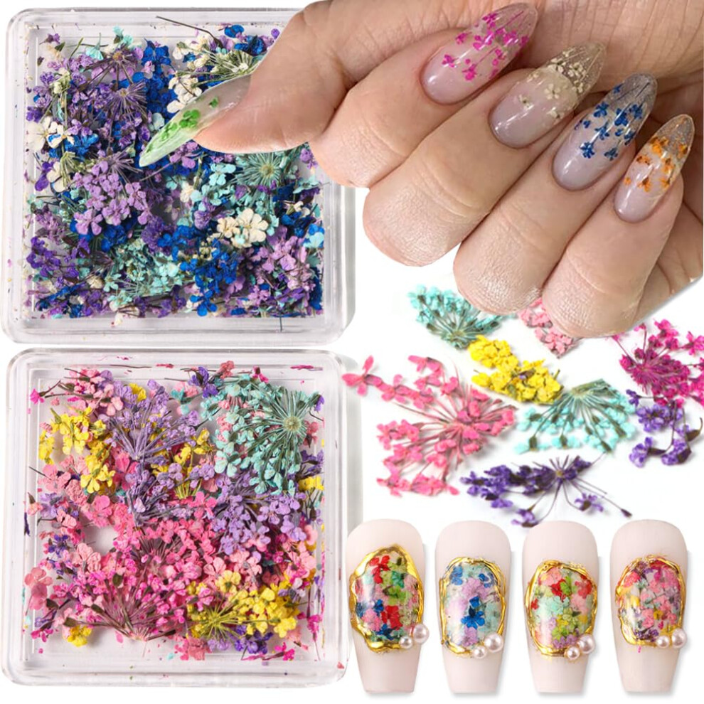 Dried Flowers for Nails 3D Floral Effect Real Dried Flower Nail Art Stickers for Summer Design 2 Boxes