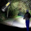 Rechargeable Strong Light Flashlight LED Charging Flashlight Led Outdoor 14500 Focus USB Working Lamp Cob Mini Flashlight 4