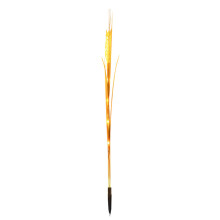 Energy Efficient LED Decorations Solar Powered Bulrush Lights With Warm White Glow Outdoor Waterproof Lighting For Festive Garden Displays