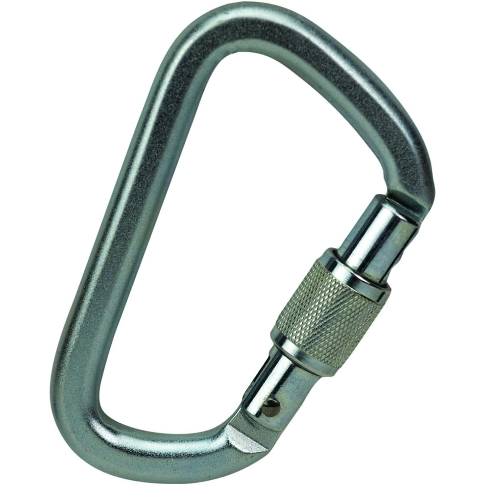 Steel Auto Lock Locking Carabiner 9423501634061