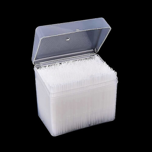 1100-pack Toothpicks Plastic Toothpicks Oral Hygiene 1
