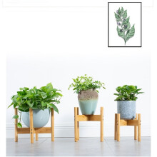 Support à fleurs en bambou (1 pièce), support simple pour pot de fleurs sur pied, support en croix pour soucoupe ou pot de fleurs, idéal pour