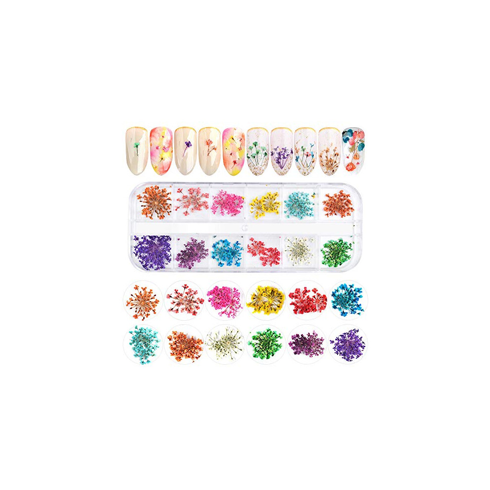 3D Nail Art Stickers with Natural Dried Gypsophila Flowers for Colorful UV Gel and Acrylic Designs