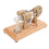 External Combustion Engine Stirling Engine Generator Steam Engine Physics Experiment Popular Science Invention Toy Scientific Experiment Education 4