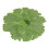 COOLL Table Doily Indeformable Wide Application Creative Flower Embroidery Lace Polyester Table Doily 1