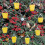 Vogelkarussell mit Vogelfutterspender 3