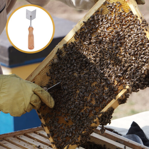 Beehive Frame Scraper Beekeeping Stainless Steel Wooden Handle Cleaner 2