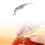 Super Convenient Crayfish Removal Tool For Household Quick Peeling Tools 2