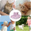 Cat Recovery Collar Soft Adjustable Protective Cone for Cats and Small Dogs Polyester Pink Stripe 5