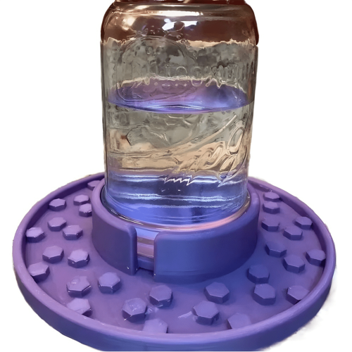 Bienenfutterstation für Einmachgläser mit normaler Öffnung, Tränke, Garten, Becher 1