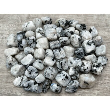 Rainbow Moonstone Tumbled Stone, 0.75-1.25" Tumbled Rainbow Moonstone
