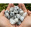 Rainbow Moonstone Tumbled Stone, 0.75-1.25" Tumbled Rainbow Moonstone 3