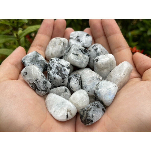 Rainbow Moonstone Tumbled Stone, 0.75-1.25" Tumbled Rainbow Moonstone 2