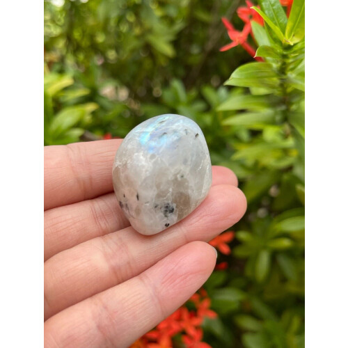 Rainbow Moonstone Tumbled Stone, 0.75-1.25" Tumbled Rainbow Moonstone 1