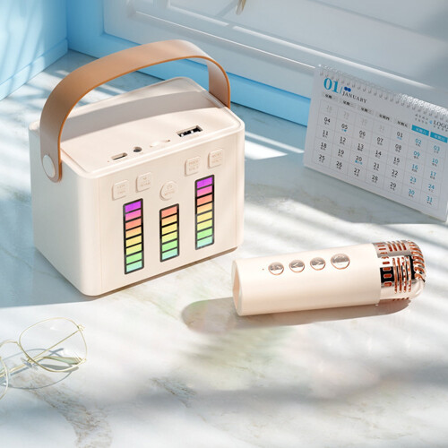 RnemiTe-amo Portable Karaoke Machine, Wireless Bluetooth Speaker with Microphone, LED Light, Outdoor Use