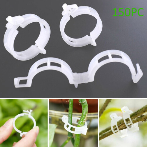 Support pour plants de tomates et poivrons (2 pièces) 1