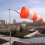 Elefanten-Universal-Windsack, hochfester Standard-Windsack, Heimdekoration 4