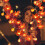 ZOELNIC Κρεμαστό Στολίδι για το Halloween, Διακόσμηση LED με Ζεστό Χρώμα, Φαναράκι σε Φέτες 5