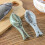 Fish Scaler Scraper with Safe Plastic Material, Compact and Efficient Fish Scale Collector for Outdoor Enthusiasts 4