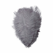 SUSHANG 36Pc Colorful Feathers Feather 23Cm or So Stage Props Feather Wall Color Feathers