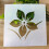 Set di stencil floreali AURORA TRADE – 9Creative Designs 8