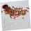 Durable Metal Nut Cracker with Kernel Protection for Chestnuts and Pine Nuts Kitchen Use 5