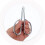 Durable Metal Nut Cracker with Kernel Protection for Chestnuts and Pine Nuts Kitchen Use 3