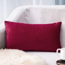 Cterwk fluwelen kussenslopen met rits, superzachte luxe kussenslopen/kussenhoezen voor bank, fauteuil of bed