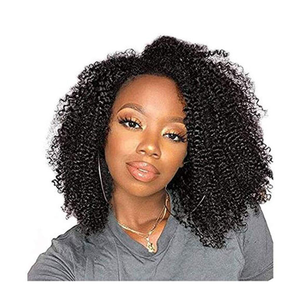 Afro Kinky Curly 14 Inch Virgin Remy Human Hair Lace Front Wig 130 Density Natural Hairline