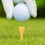 Golfaccessoires, baanaccessoire, balmarker, divot tool met fruit 4