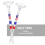 Tees de golfe, Tees de golfe de 3 1/4 polegadas, Tees de golfe de plástico reduzem o impacto, Tees de golfe em grande quantidade com copo grande e 4