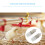 2 Pcs Bird Water Feeder Chicken Drinker Drinking Fountain 6