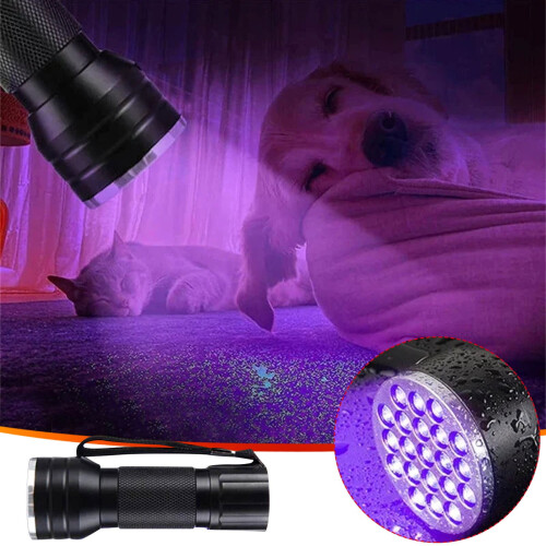 Φακός LED PAVEOS Home Violet με βιολετί φως σε λάμπες και φωτισμό για οικιακή χρήση A 2