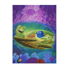 Hledá se Nemo, měkká a pohodlná deka, plyšová, lehká, teplá, plyšová flanelová deka a přehozy na gauč, rozkládací pohovku 40"X30"