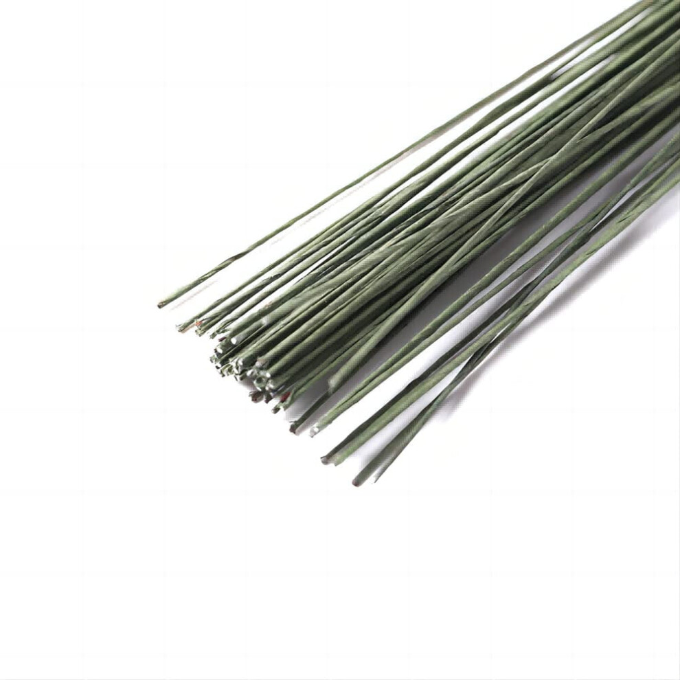 22 Gauge Green Floral Paper Wrapped Wire 24 Inch, Florist Flower Stems Floral Wire 100 Pcs (0.7Mm) 9377112439259