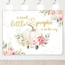 Fondo para baby shower de niña con temática de calabazas - Decoración floral rosa para fiesta de otoño con calabazas, pancarta "La pequeña