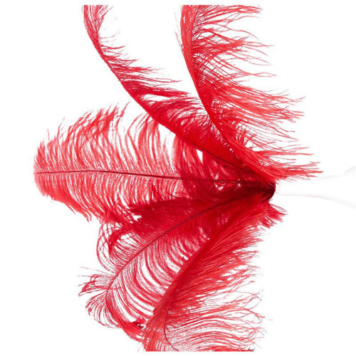 40 Pcs Natural Ostrich Feathers Wedding Decoration Red 20-25cm 2